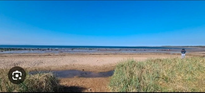 Sandy path through the grass towards the beach